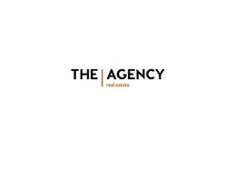 Agent The Agency