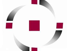 Agent Capital One Sales
