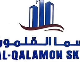Agent Aymen Mahmoud