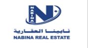 Nabina Real Estate logo image