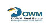 Dowm Real Estate logo image