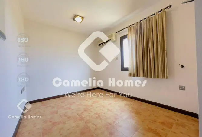 57565239 - Property Image 3