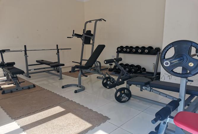 54005559 - Property Image 2