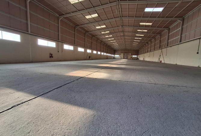 808135 - صورة العقار 3