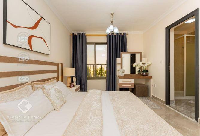 904526 - Property Image 3