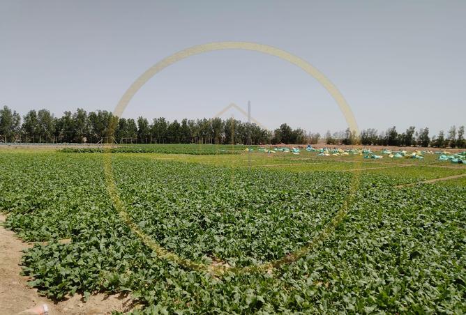 936507 - صورة العقار 2