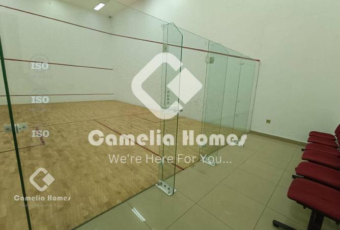 969593 - Property Image 3