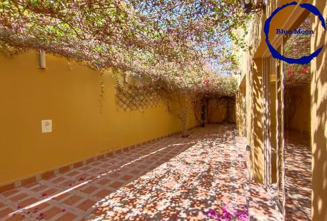 55078032 - صورة العقار 2