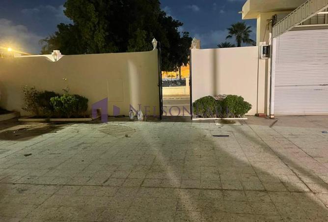 53425036 - Property Image 2