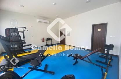 Apartment - 3 Bedrooms - 3 Bathrooms for rent in Al Waab Street - Al Waab - Doha