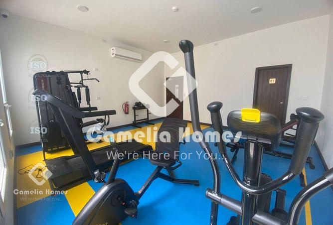 56417641 - Property Main Image