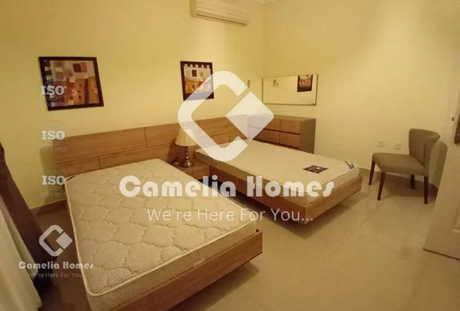 57409972 - Property Image 3