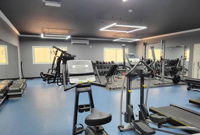 53862461 - Property Image 3