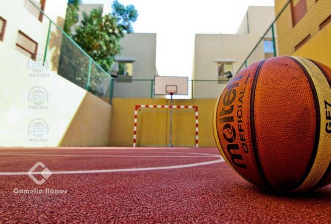 53472524 - صورة العقار 2