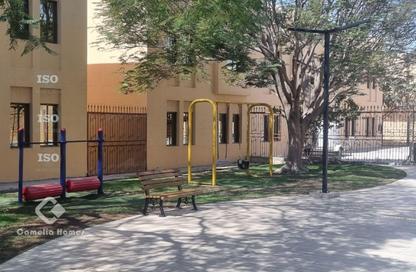 Compound - 4 Bedrooms - 5 Bathrooms for rent in Umm Al Seneem Street - Ain Khaled - Doha