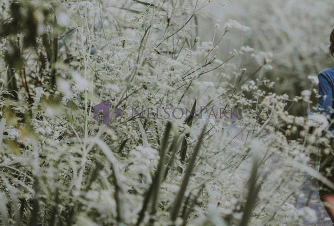 51624820 - صورة العقار 3