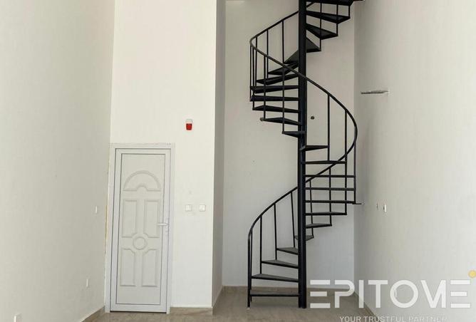 61731267 - Property Image 3