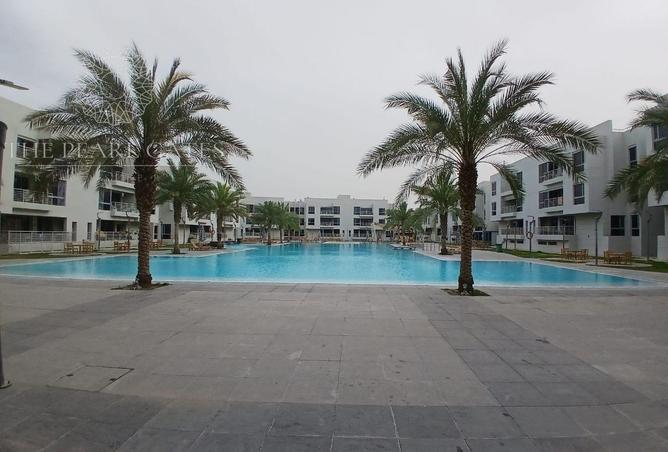 53235650 - Property Image 2