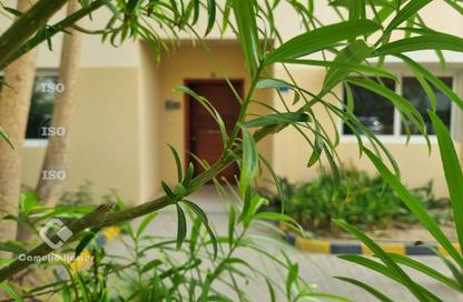 Compound - 3 Bedrooms - 3 Bathrooms for rent in Al Gharrafa - Al Gharrafa - Doha