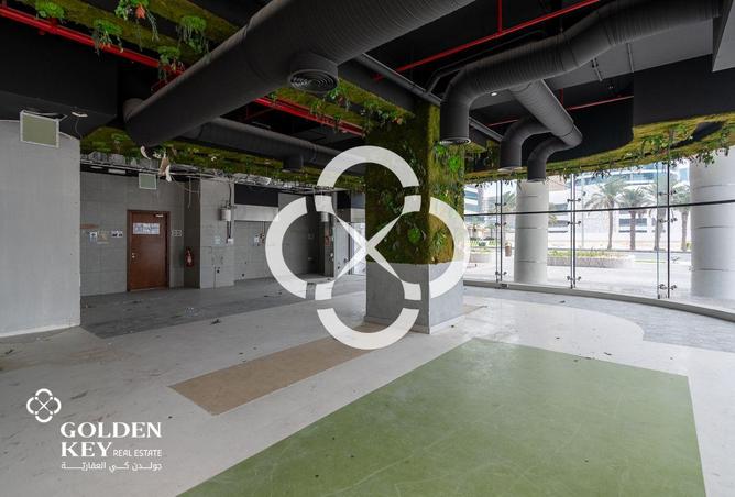 53522956 - صورة العقار 3