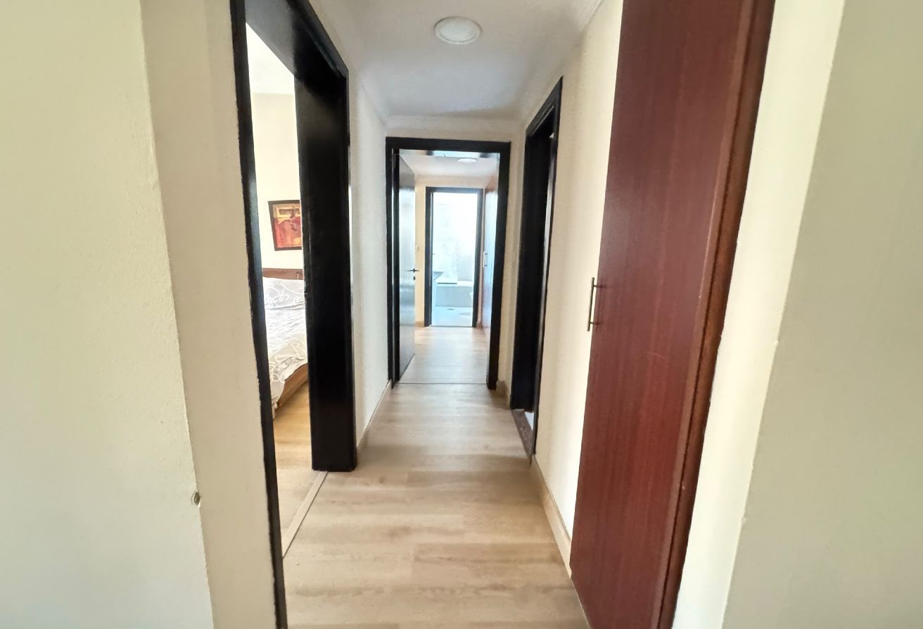 2 BHK Premium Furnished for Rent - Ain Khalid thumbnail 4