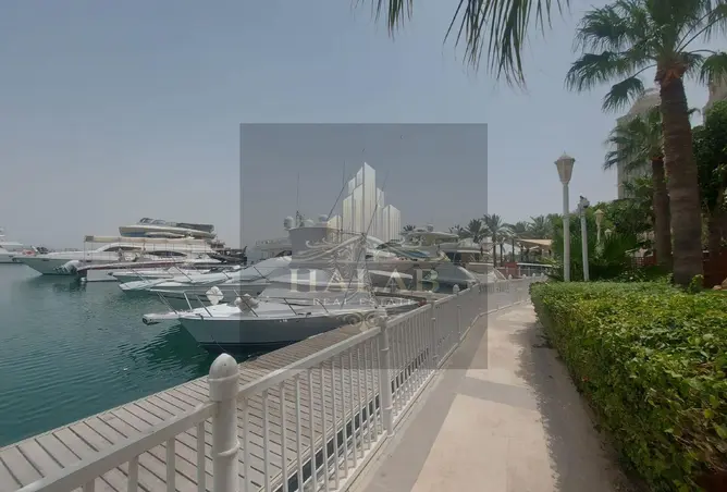 51573016 - صورة العقار 3