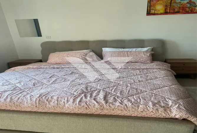 63696617 - Property Image 3