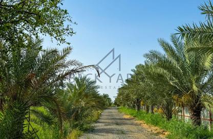 Land - Studio for rent in Al Daayen - Al Daayen - Al Daayen
