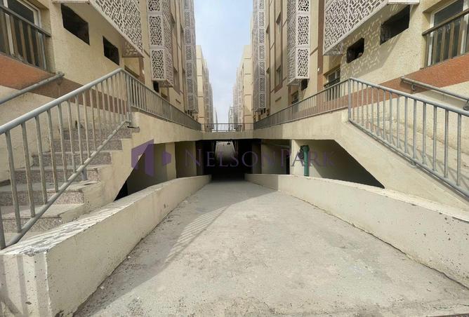 60445269 - صورة العقار 3
