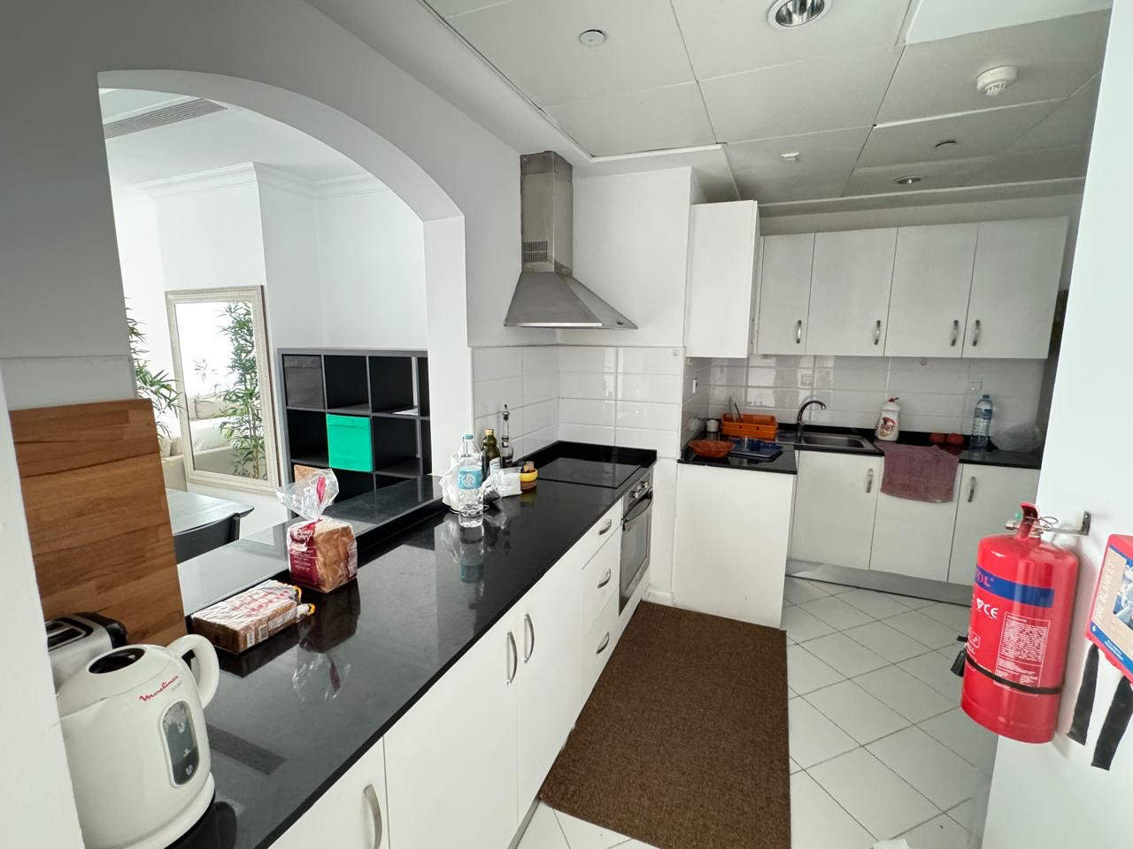 LUXURY ONE BEDROOM FULLY FURNISHED FRENCH STYLE thumbnail 2