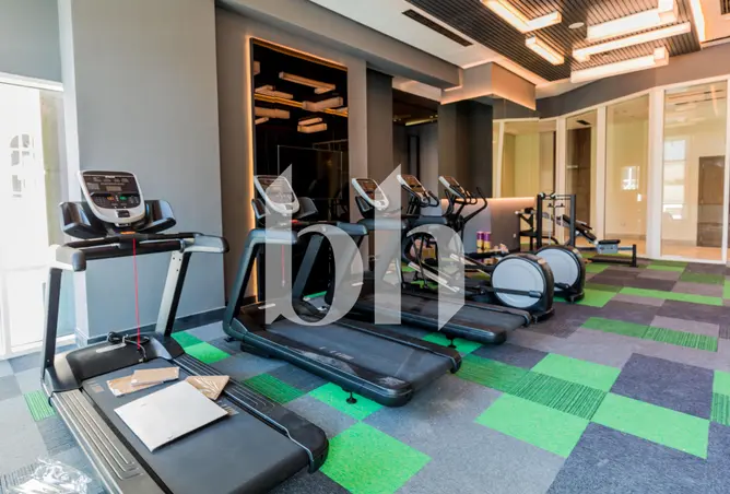61676079 - Property Image 3