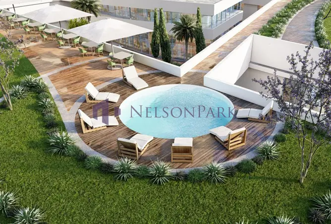 62466585 - Property Image 2
