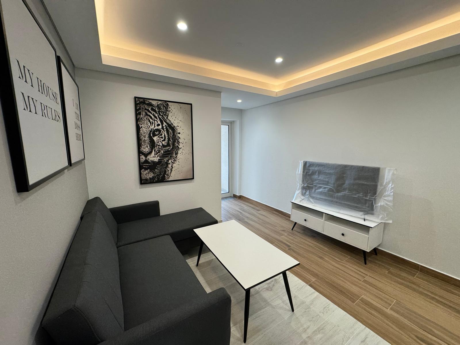 BRAND NEW 1BEDROOM FULLY FURNISHED WITH BALCONY thumbnail 6