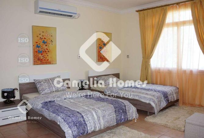 54298772 - Property Image 3