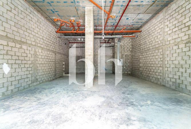 55177534 - Property Image 3
