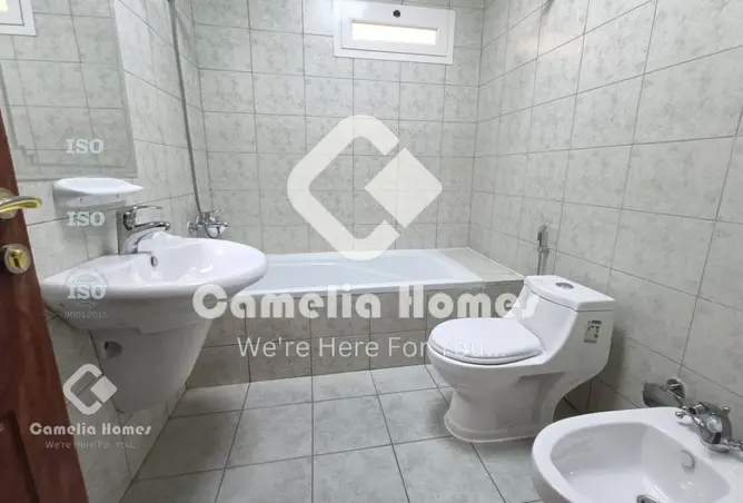 56672504 - Property Image 3