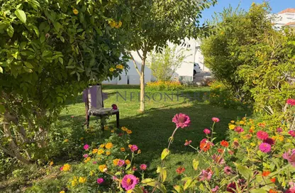 Compound - 5 Bedrooms - 3 Bathrooms for rent in Al Nuaija Street - Al Hilal West - Al Hilal - Doha