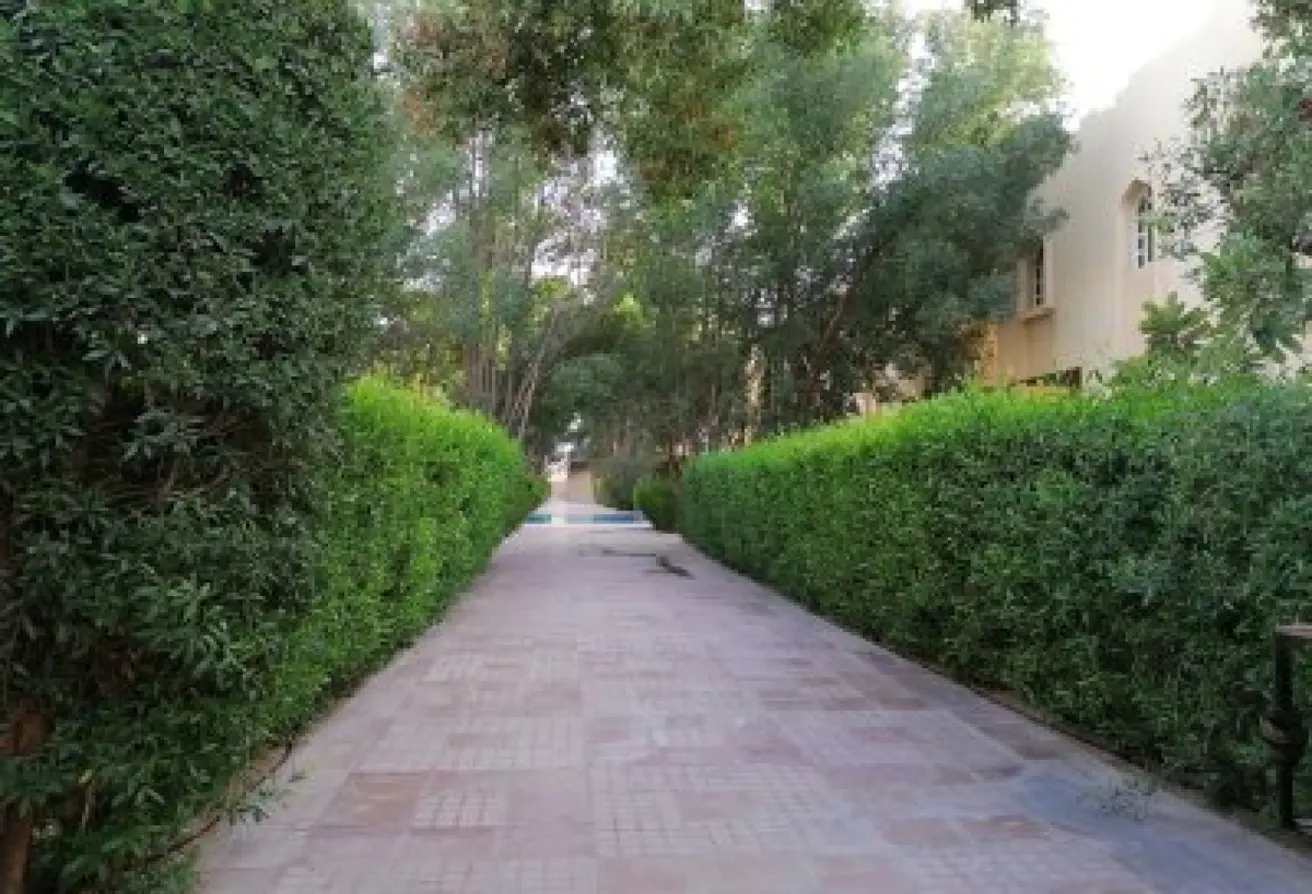62968329 - Property Main Image