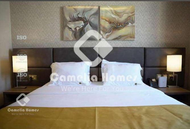 54879331 - Property Image 3