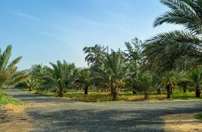 Land - Studio for rent in Al Daayen - Al Daayen - Al Daayen