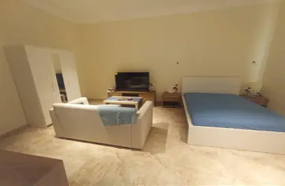 Apartment - Studio - 1 Bathroom for rent in Onaiza Street - Diplomatic Area - Doha