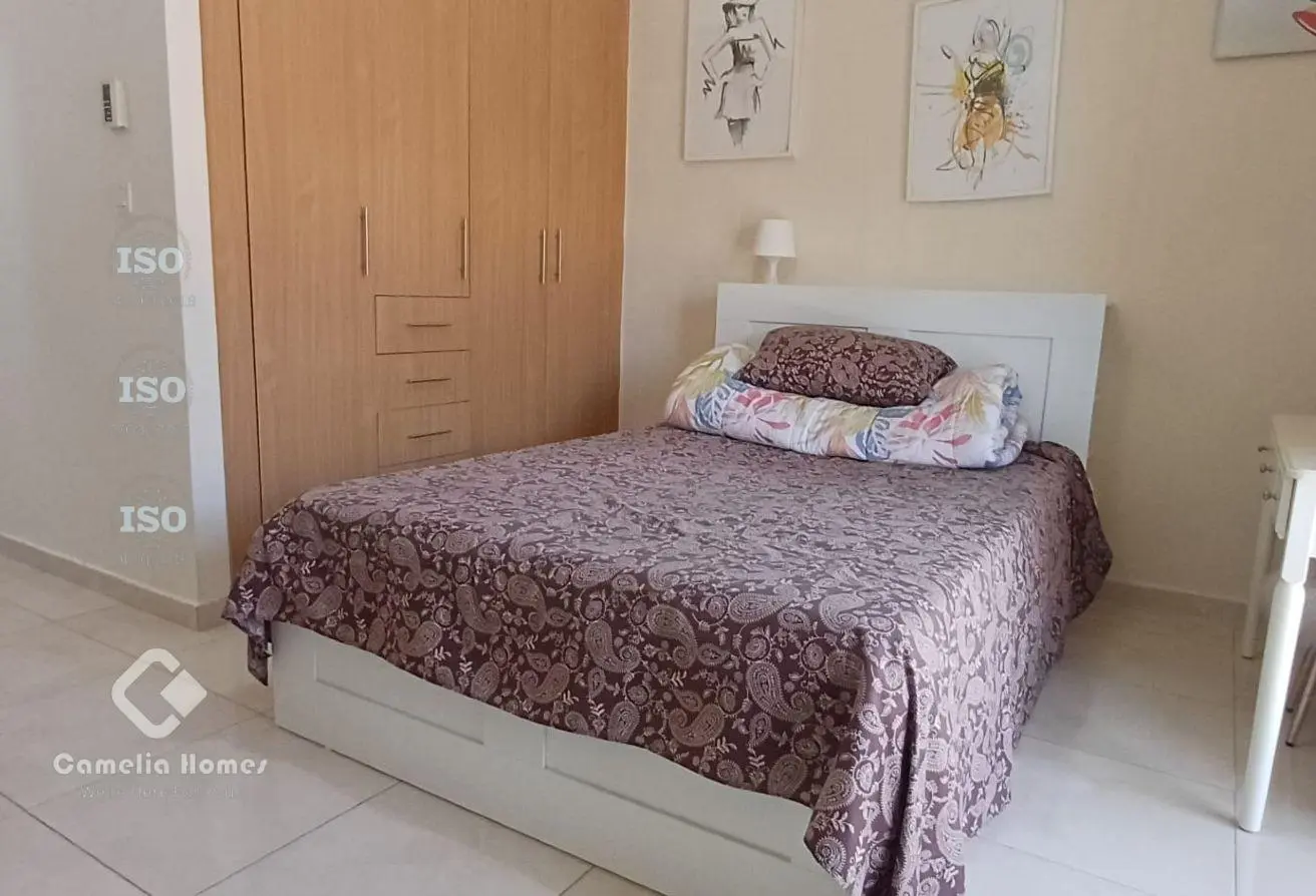 56466652 - Property Main Image