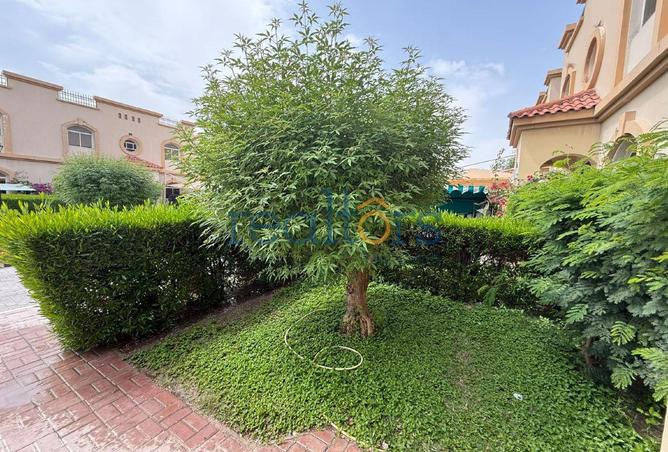 53471139 - صورة العقار 3