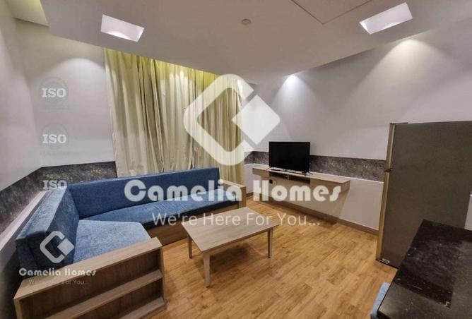 53668599 - Property Image 3