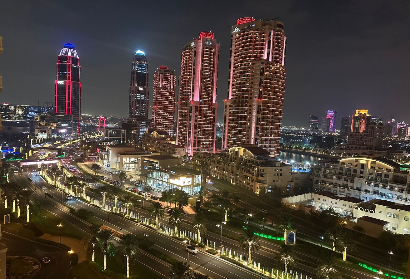 3+Maid Huge Size Panoramic City View thumbnail 19