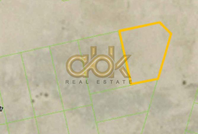 53619096 - Property Image 2