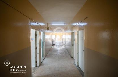 Labor Camp - Studio for rent in Industrial Area 5 - Industrial Area - Industrial Area - Doha