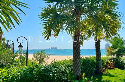 Apartment - 1 Bedroom - 1 Bathroom for rent in La Plage South - La Plage - The Pearl Island - Doha Apartment - 1 Bedroom - 1 Bathroom for rent in La Plage South - La Plage - The Pearl Island - Doha