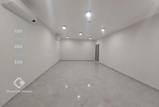 61612952 - Property Image 2