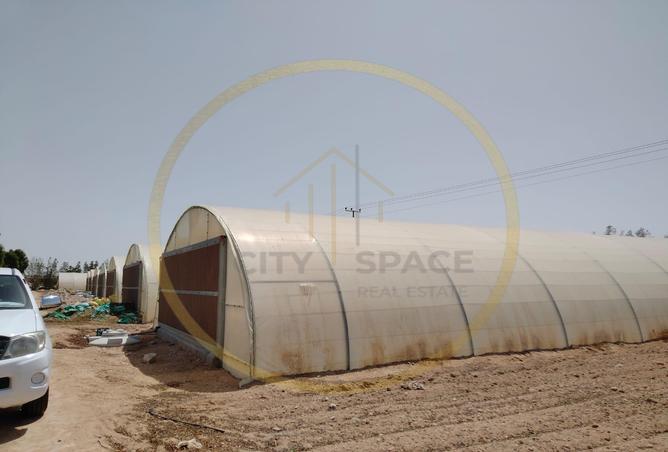 52088728 - Property Image 3